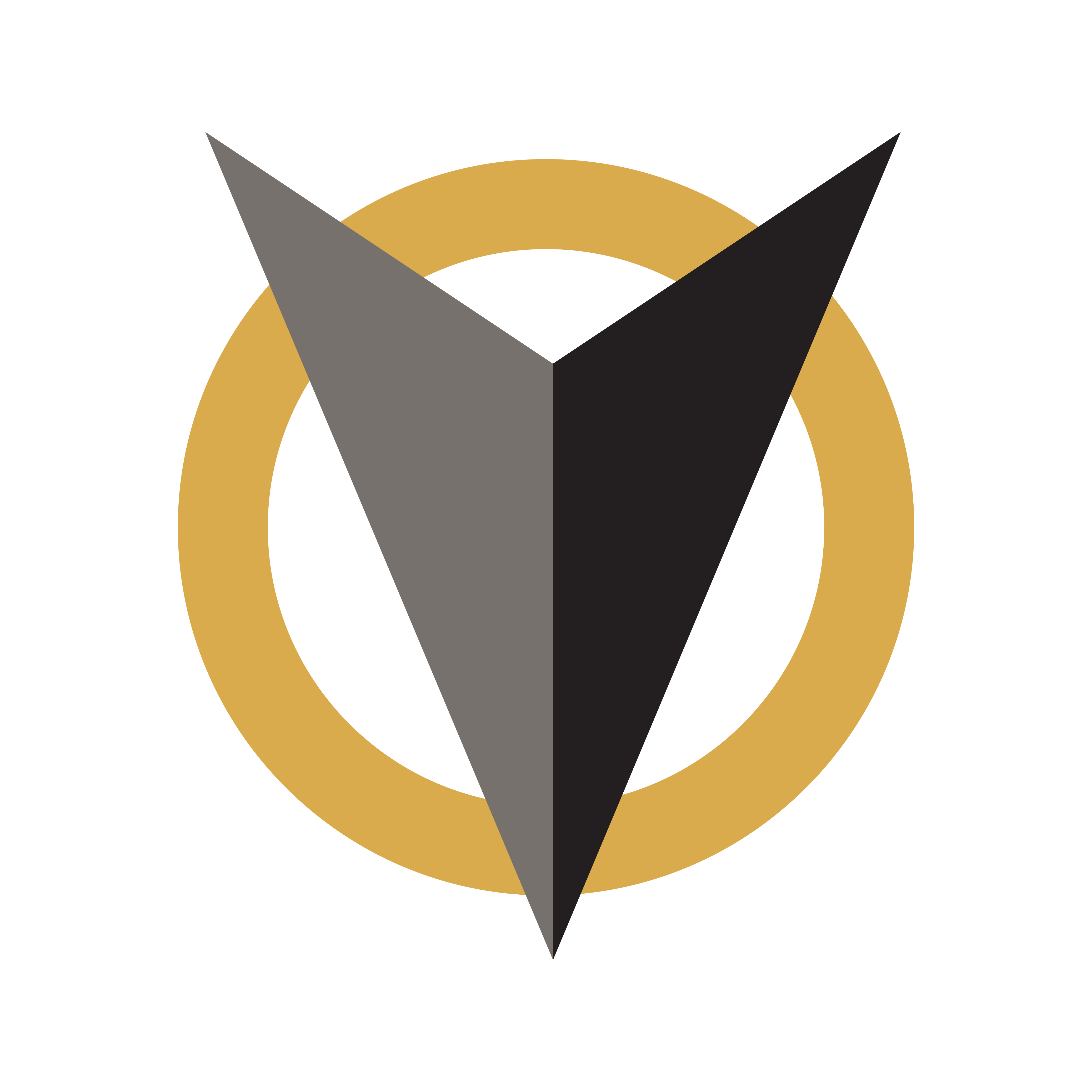 Vanderbilt Vanguard logo